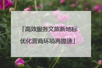 高效服务文旅新地标 优化营商环境再提速