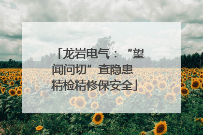龙岩电气：“望闻问切”查隐患 精检精修保安全