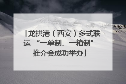 龙拱港（西安）多式联运 “一单制、一箱制” 推介会成功举办