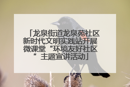 龙泉街道龙泉苑社区新时代文明实践站开展微课堂“环境友好社区”主题宣讲活动
