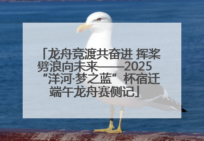 龙舟竞渡共奋进 挥桨劈浪向未来——2025“洋河·梦之蓝”杯宿迁端午龙舟赛侧记