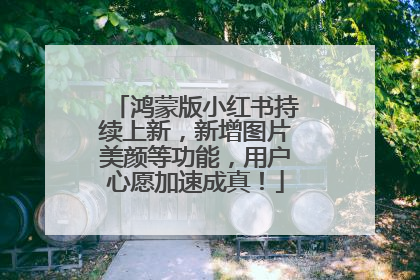 鸿蒙版小红书持续上新，新增图片美颜等功能，用户心愿加速成真！