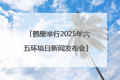 鹤壁举行2025年六五环境日新闻发布会