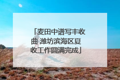 麦田中谱写丰收曲 潍坊滨海区夏收工作圆满完成