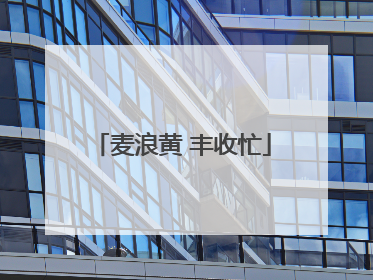 麦浪黄 丰收忙