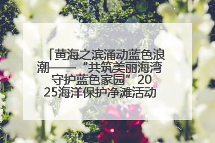 黄海之滨涌动蓝色浪潮——“共筑美丽海湾 守护蓝色家园”2025海洋保护净滩活动暨“美丽江苏—江河湖海青蓝行”海洋篇在连云港举行