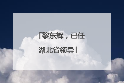 黎东辉，已任湖北省领导