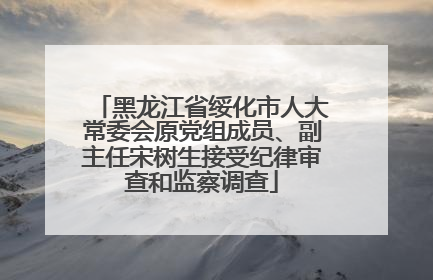 黑龙江省绥化市人大常委会原党组成员、副主任宋树生接受纪律审查和监察调查