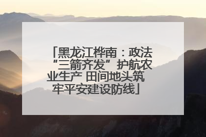 黑龙江桦南：政法“三箭齐发”护航农业生产 田间地头筑牢平安建设防线