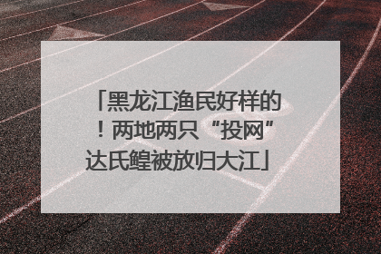 黑龙江渔民好样的！两地两只“投网”达氏鳇被放归大江