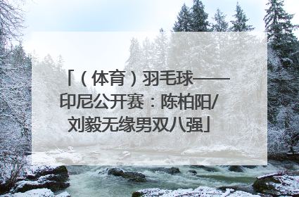 （体育）羽毛球——印尼公开赛：陈柏阳/刘毅无缘男双八强