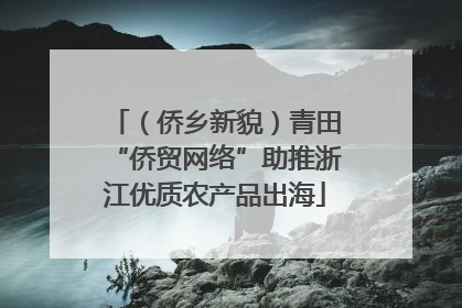 （侨乡新貌）青田“侨贸网络”助推浙江优质农产品出海