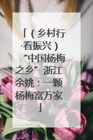 （乡村行·看振兴）“中国杨梅之乡”浙江余姚：一颗杨梅富万家