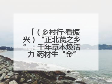 （乡村行·看振兴）“正北芪之乡”：千年草本焕活力 药材生“金”富农家
