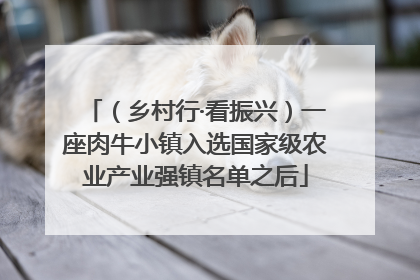 （乡村行·看振兴）一座肉牛小镇入选国家级农业产业强镇名单之后