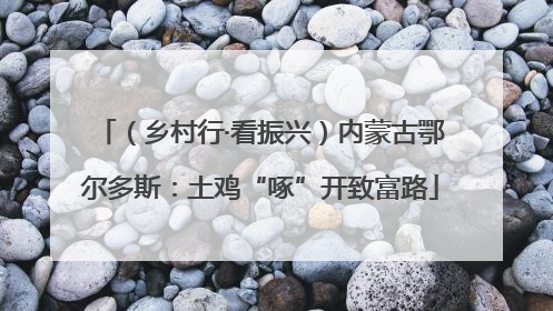 （乡村行·看振兴）内蒙古鄂尔多斯：土鸡“啄”开致富路