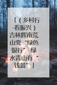 （乡村行·看振兴）吉林辉南荒山变“绿色银行” 绿水青山有“钱景”