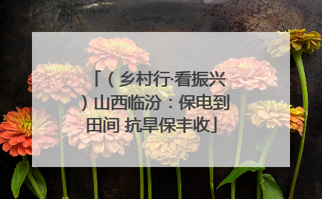 （乡村行·看振兴）山西临汾：保电到田间 抗旱保丰收