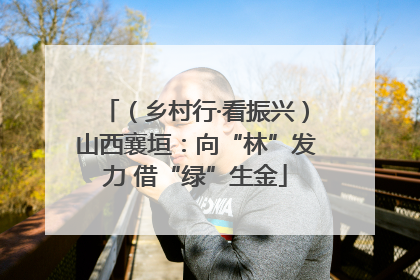 （乡村行·看振兴）山西襄垣：向“林”发力 借“绿”生金