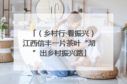 （乡村行·看振兴）江西信丰一片茶叶“沏”出乡村振兴路