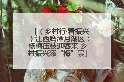 （乡村行·看振兴）江西鹰潭月湖区：杨梅压枝迎客来 乡村振兴添“梅”景
