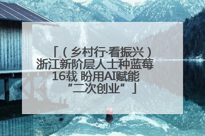 （乡村行·看振兴）浙江新阶层人士种蓝莓16载 盼用AI赋能“二次创业”
