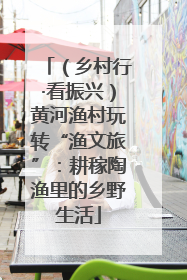 （乡村行·看振兴）黄河渔村玩转“渔文旅”：耕稼陶渔里的乡野生活