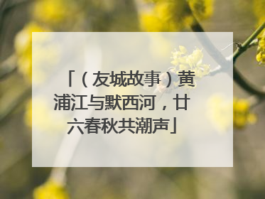 （友城故事）黄浦江与默西河，廿六春秋共潮声