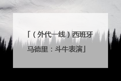 （外代一线）西班牙马德里：斗牛表演