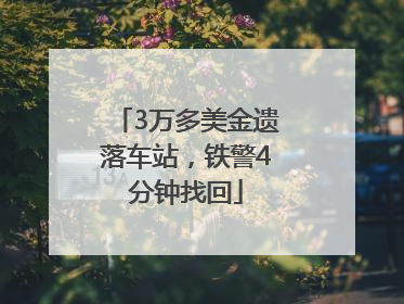 3万多美金遗落车站，铁警4分钟找回