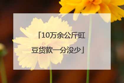 10万余公斤豇豆货款一分没少