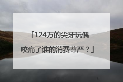 124万的尖牙玩偶 咬痛了谁的消费尊严？