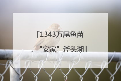 1343万尾鱼苗，“安家”斧头湖