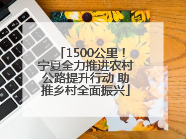 1500公里！宁夏全力推进农村公路提升行动 助推乡村全面振兴
