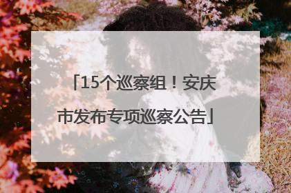 15个巡察组！安庆市发布专项巡察公告