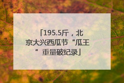 195.5斤，北京大兴西瓜节“瓜王”重量破纪录