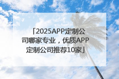 2025APP定制公司哪家专业，优质APP定制公司推荐10家