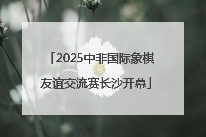 2025中非国际象棋友谊交流赛长沙开幕