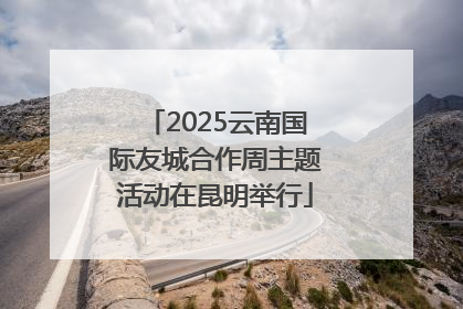 2025云南国际友城合作周主题活动在昆明举行