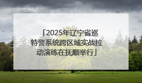 2025年辽宁省巡特警系统跨区域实战拉动演练在抚顺举行