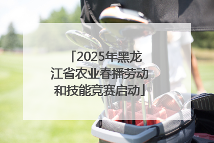 2025年黑龙江省农业春播劳动和技能竞赛启动