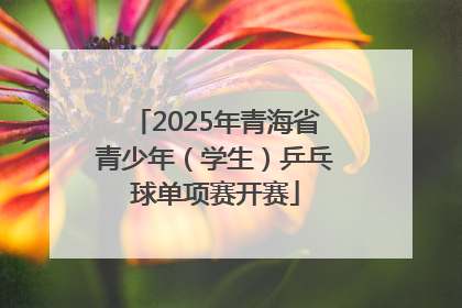 2025年青海省青少年（学生）乒乓球单项赛开赛