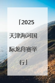 2025天津海河国际龙舟赛举行