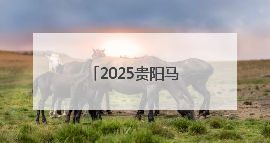 2025贵阳马拉松｜“最牛妈妈！” 贵州名将丁常琴获网友点赞