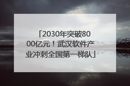2030年突破8000亿元！武汉软件产业冲刺全国第一梯队