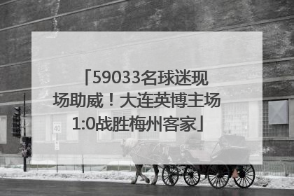 59033名球迷现场助威！大连英博主场1:0战胜梅州客家