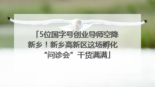 5位国字号创业导师空降新乡！新乡高新区这场孵化“问诊会”干货满满