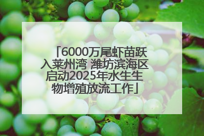6000万尾虾苗跃入莱州湾 潍坊滨海区启动2025年水生生物增殖放流工作