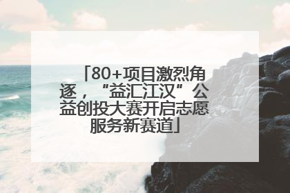 80+项目激烈角逐，“益汇江汉”公益创投大赛开启志愿服务新赛道