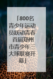 800名青少年运动员跃动青春 首届郑州市青少年三大球联赛开幕